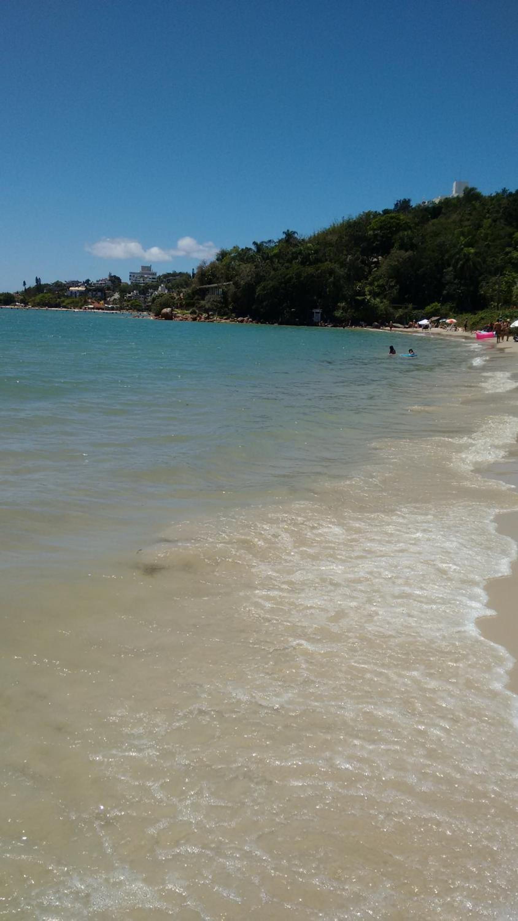 Praia de Jurerê com água clara na beira e o morro verde no fim da areia