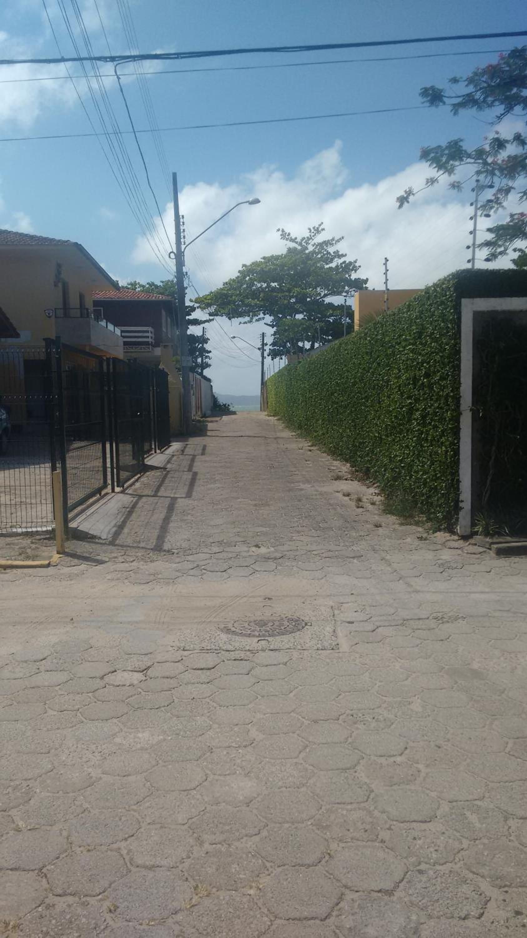Rua de lajotas com cerca viva de um lado, num dia de céu azul